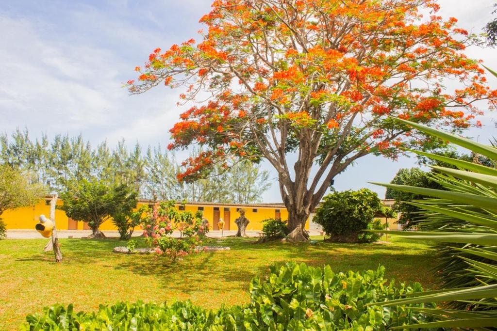 Hotel Parque do Sol photo 2