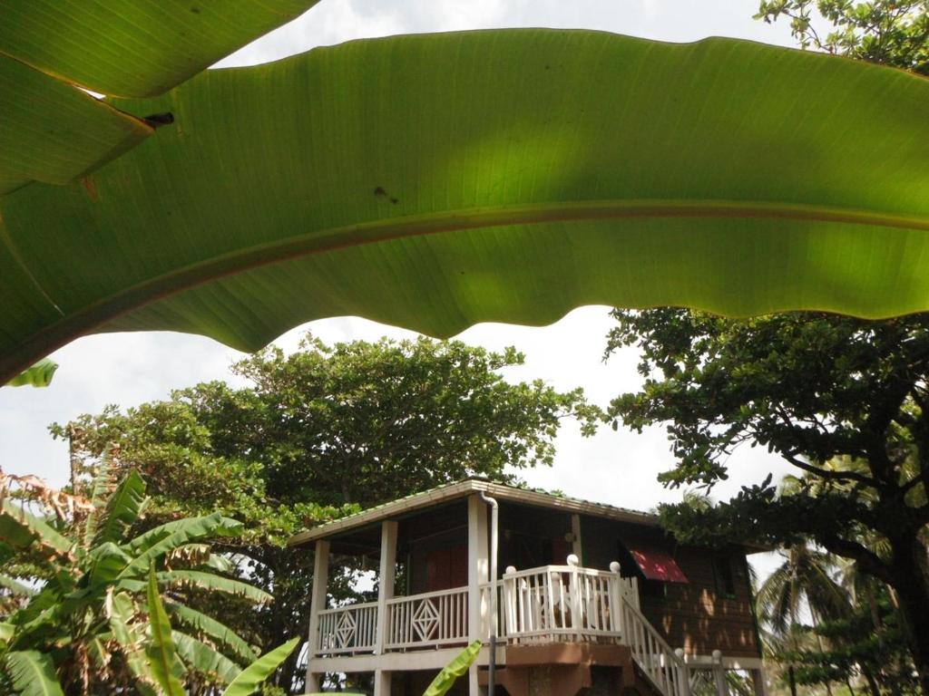 Treehouse Apartment at La Lodge at Long Bay photo 1