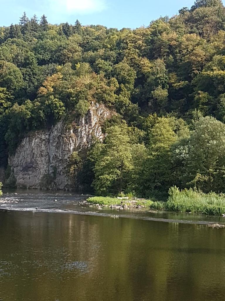 Ferienhaus am Fluss. Baubiologisch renoviert. photo 4