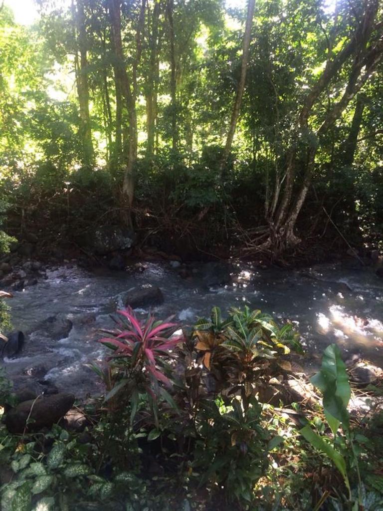 Kootney Resorts photo 2
