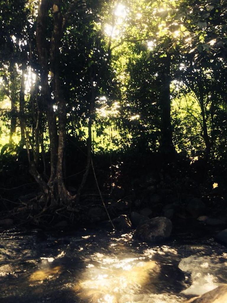 Kootney Resorts photo 3