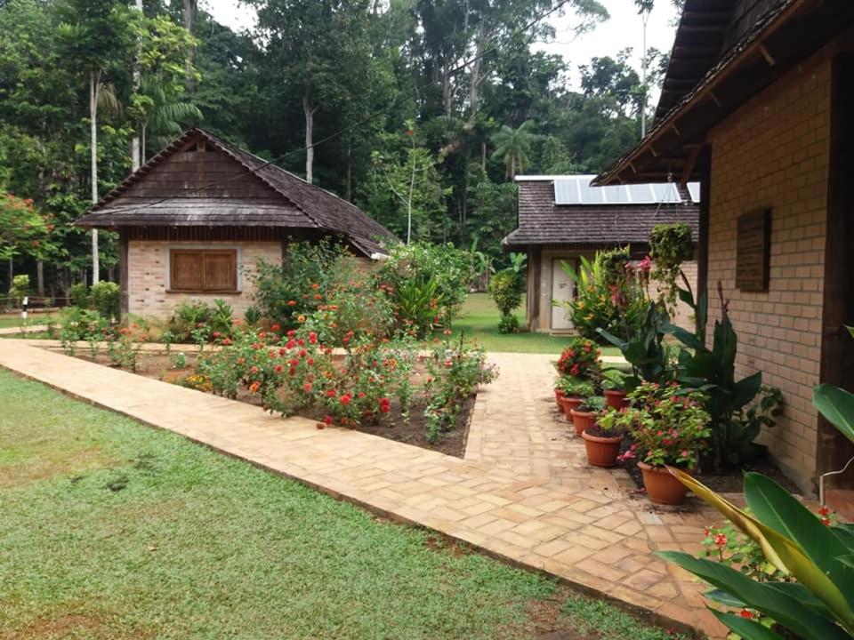 ATTA Rainforest Lodge photo 3