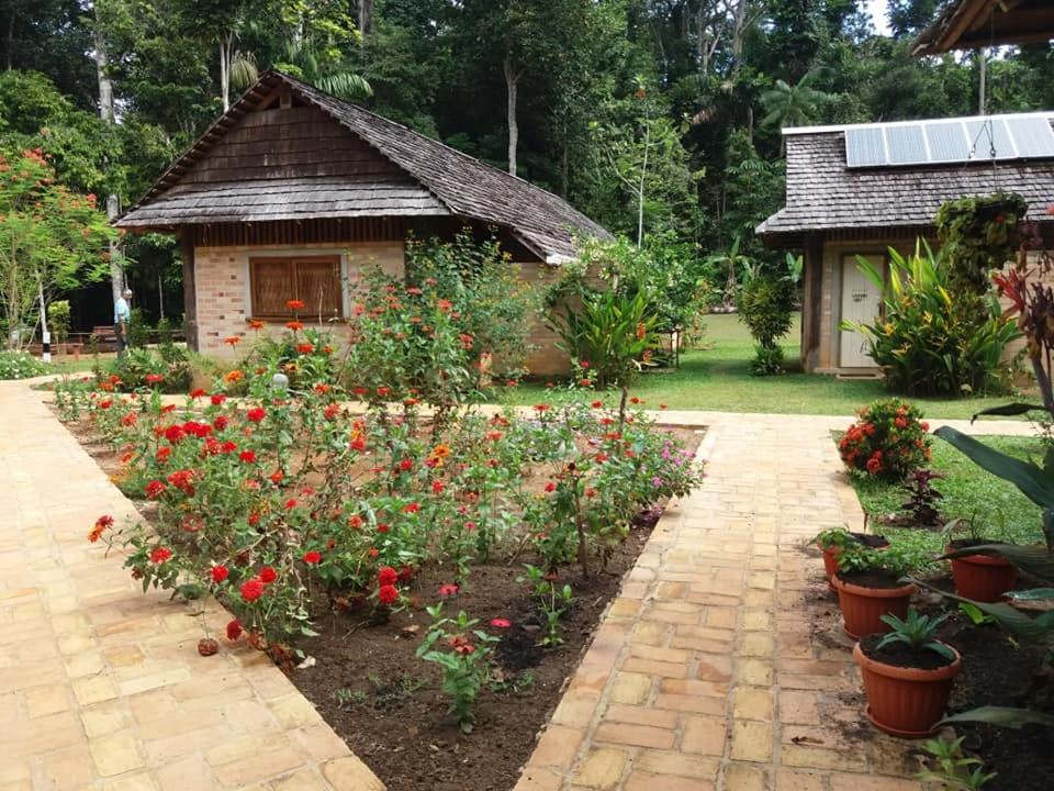 ATTA Rainforest Lodge photo 4