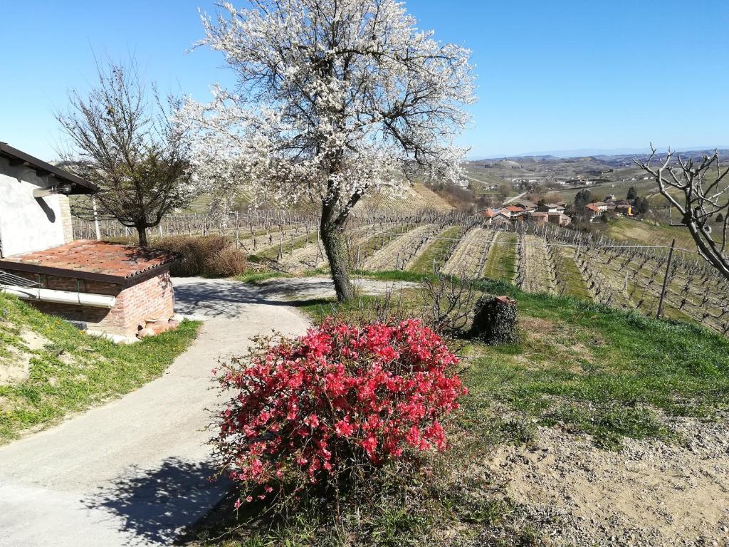 Casa Vacanze Sweet Dreams photo 3