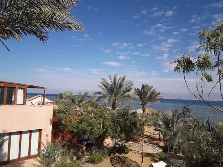 Nakhil Inn Nuweiba photo 2