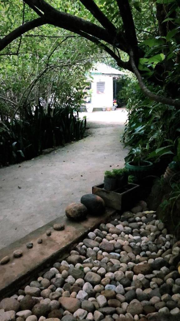 Surrey Bird Sanctuary & Holiday Resort photo 1
