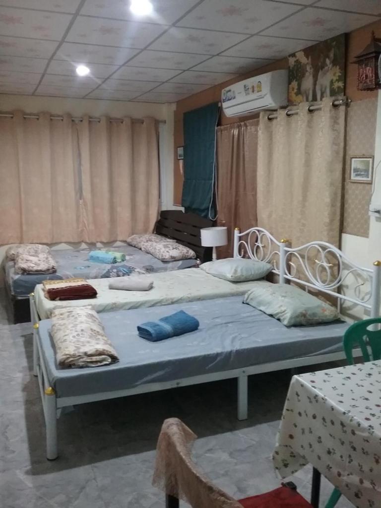 Четырехместный (Классический четырехместный номер), Danee Hostel