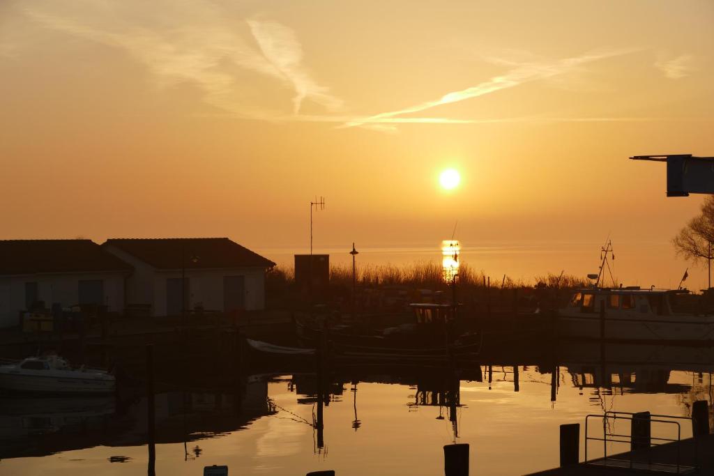 Ferienwohnung 1, Neuendorf - Hiddensee photo 3
