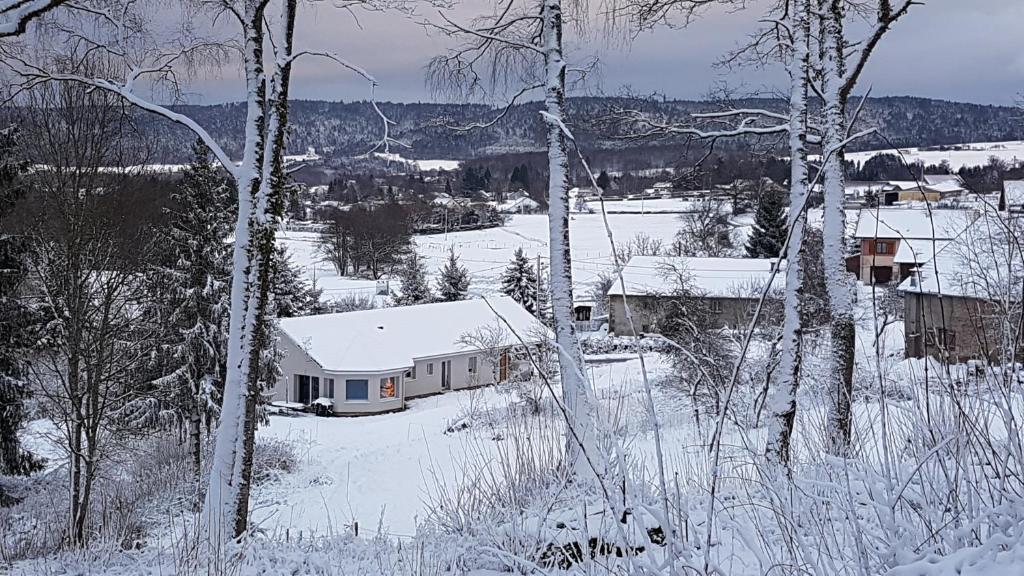 GERARDMER La villa de Corcieux photo 1