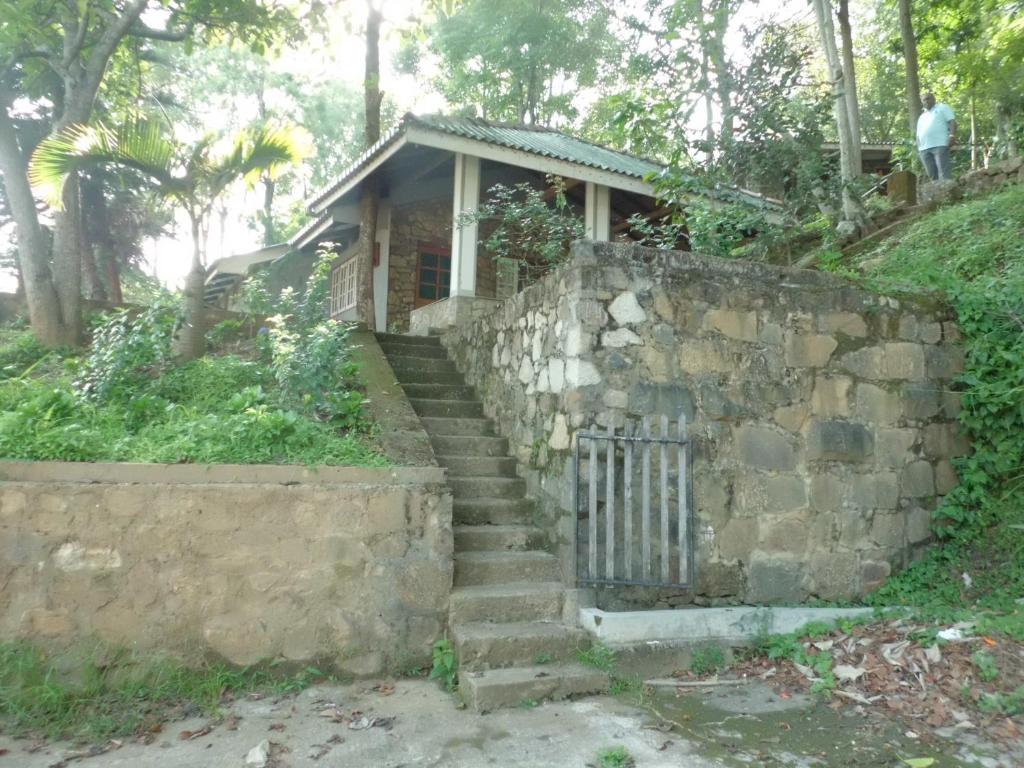 Green Valley Holiday Resort photo 4