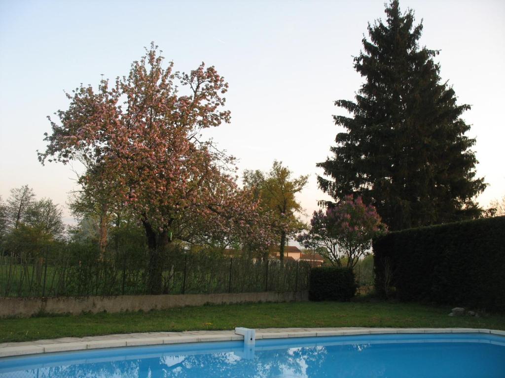 LA FERME DU NIZON photo 2