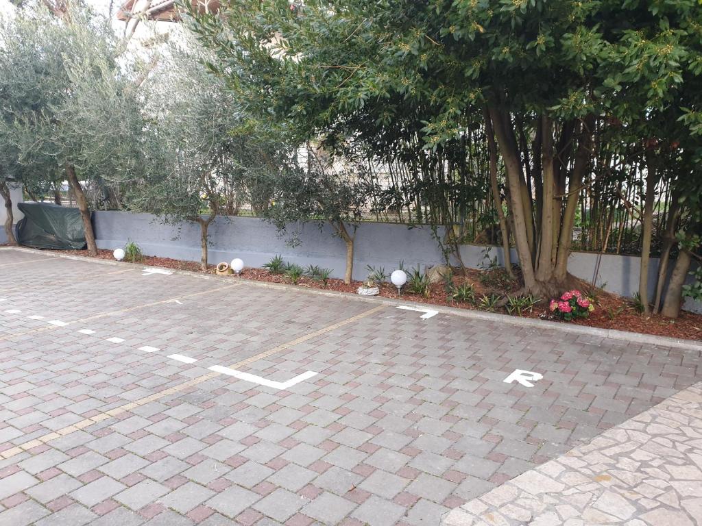 Natura 6 photo 4