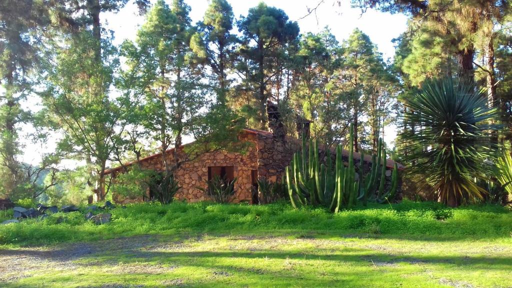 Monte frio de Tenerife Room Type - Three-Bedroom House