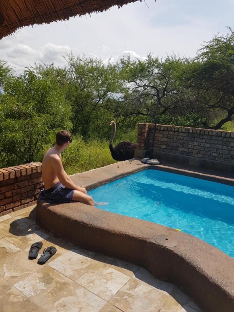 Giraffe plains photo 3