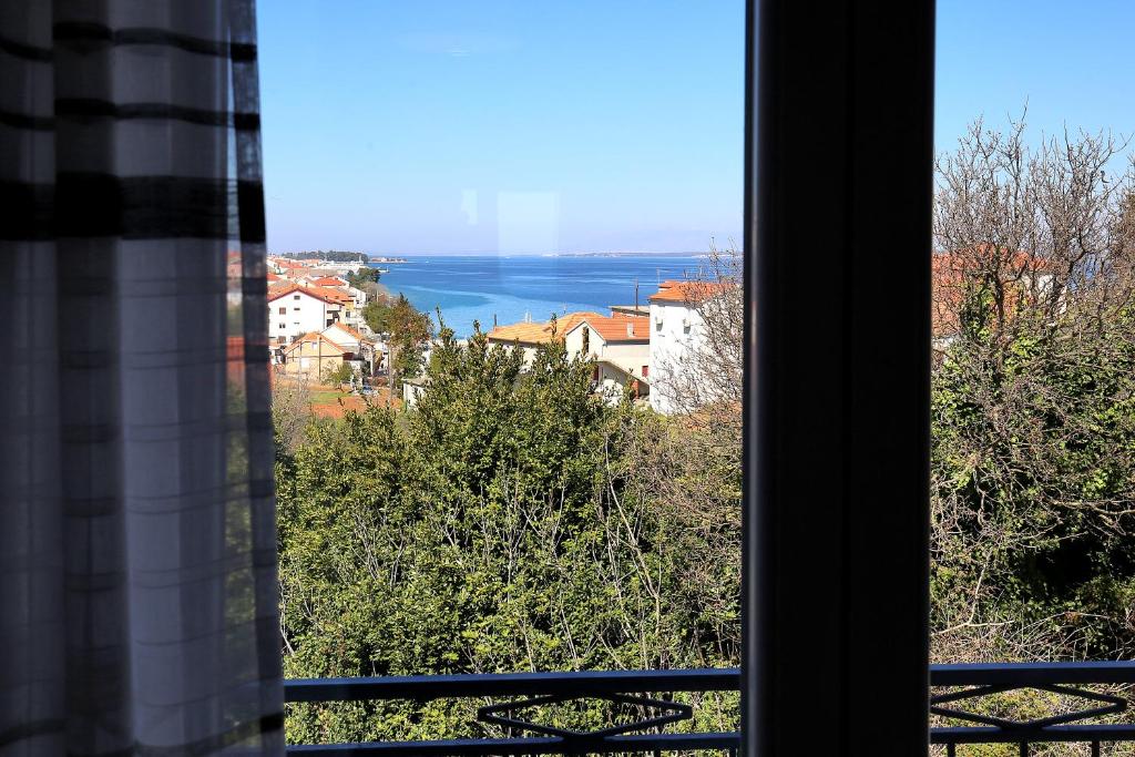 Mimoza photo 3