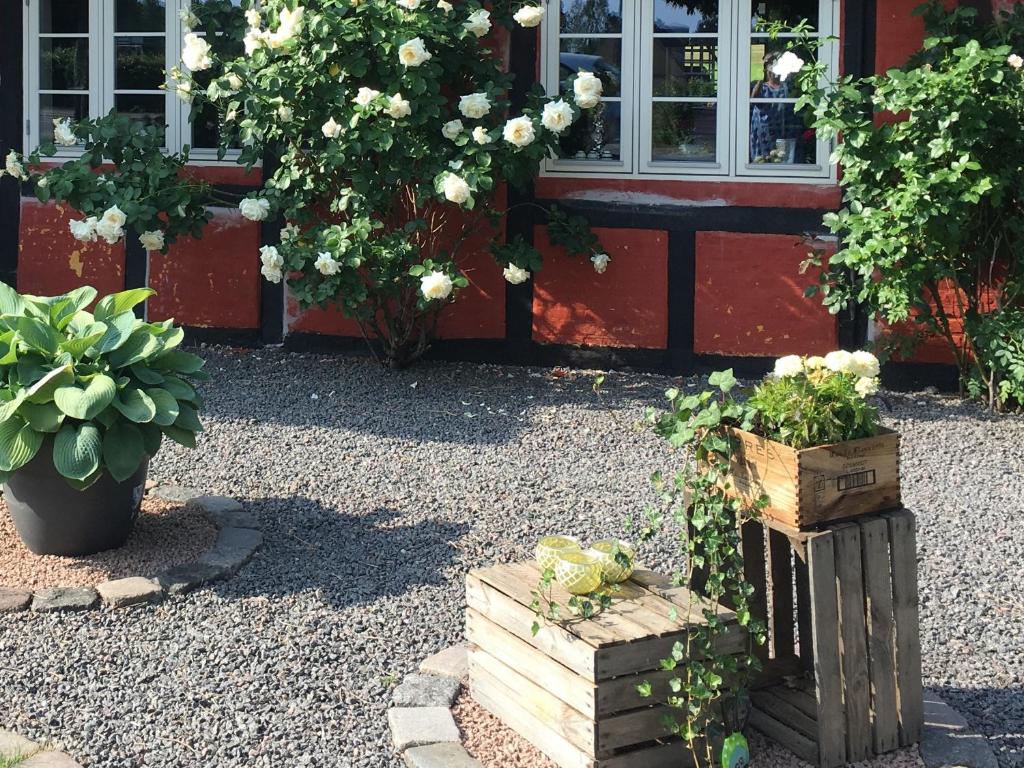 Lolland Bed & Breakfast photo 3
