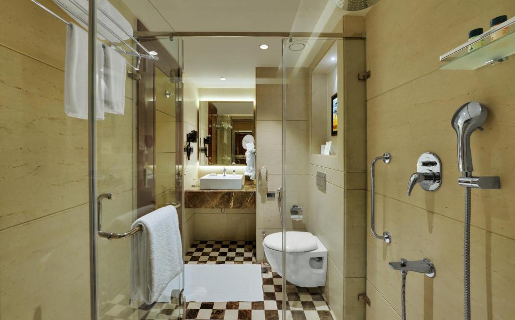 Двухместный (Winter Green Room), The Fern Residency Jaipur