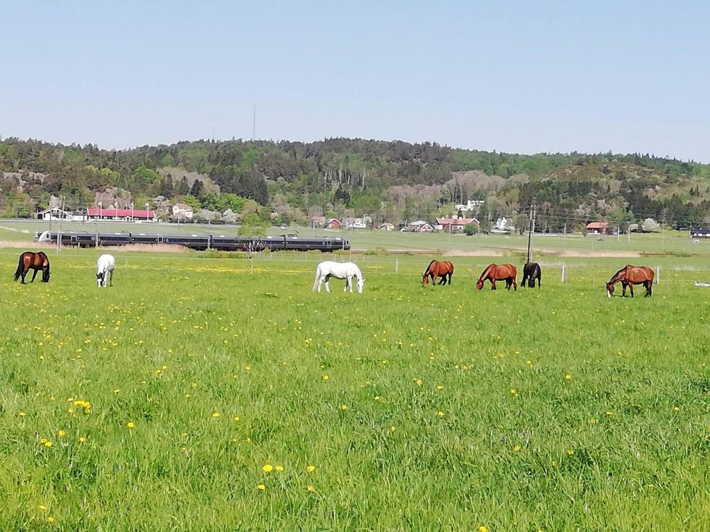 Stuga på Hammarbergs Gård photo 4