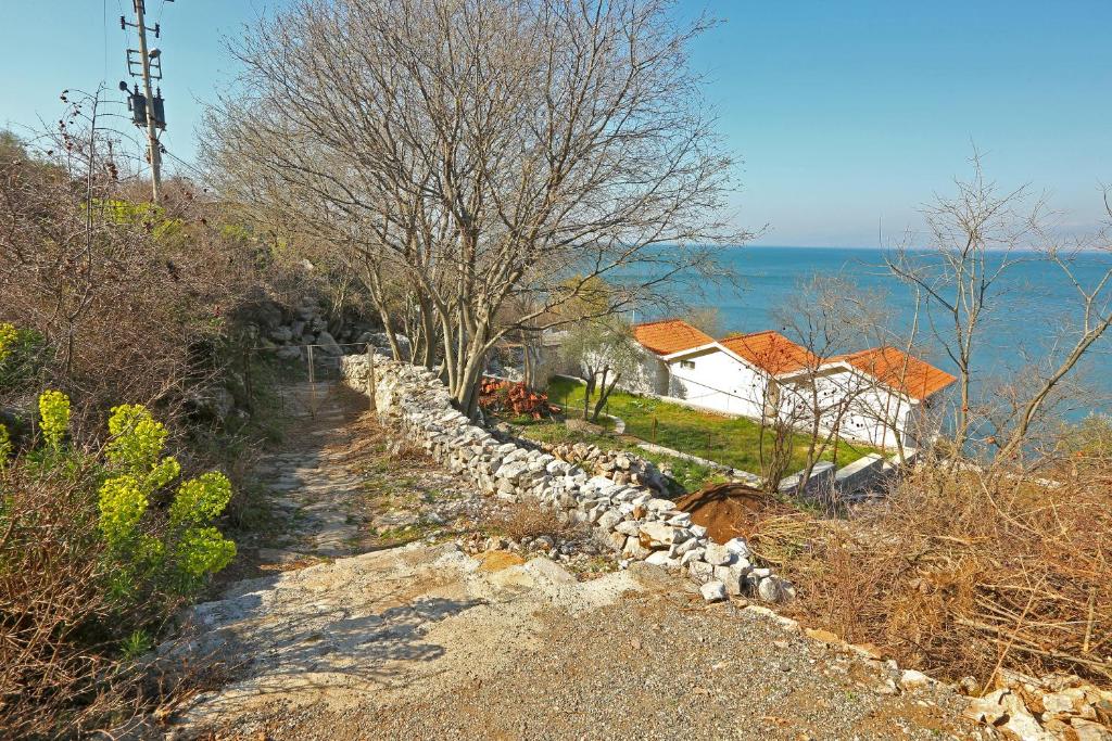 Vani i Bardhë photo 3
