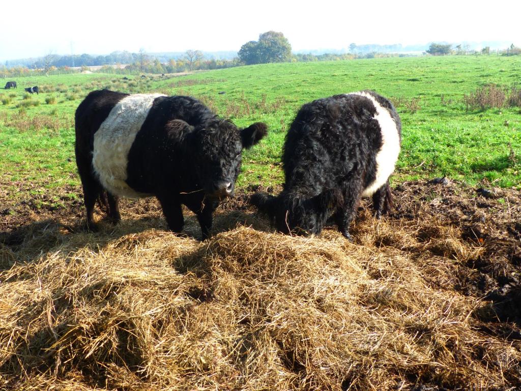 Kristiansminde Farm Holiday photo 1