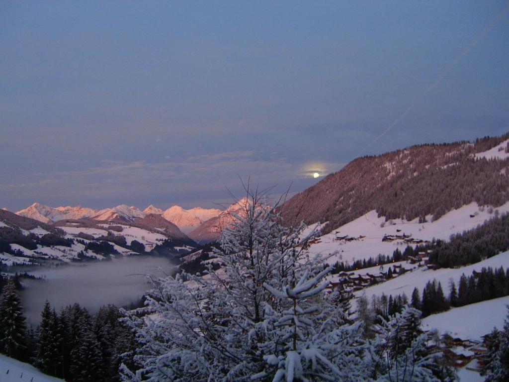 Kaiserhof photo 3