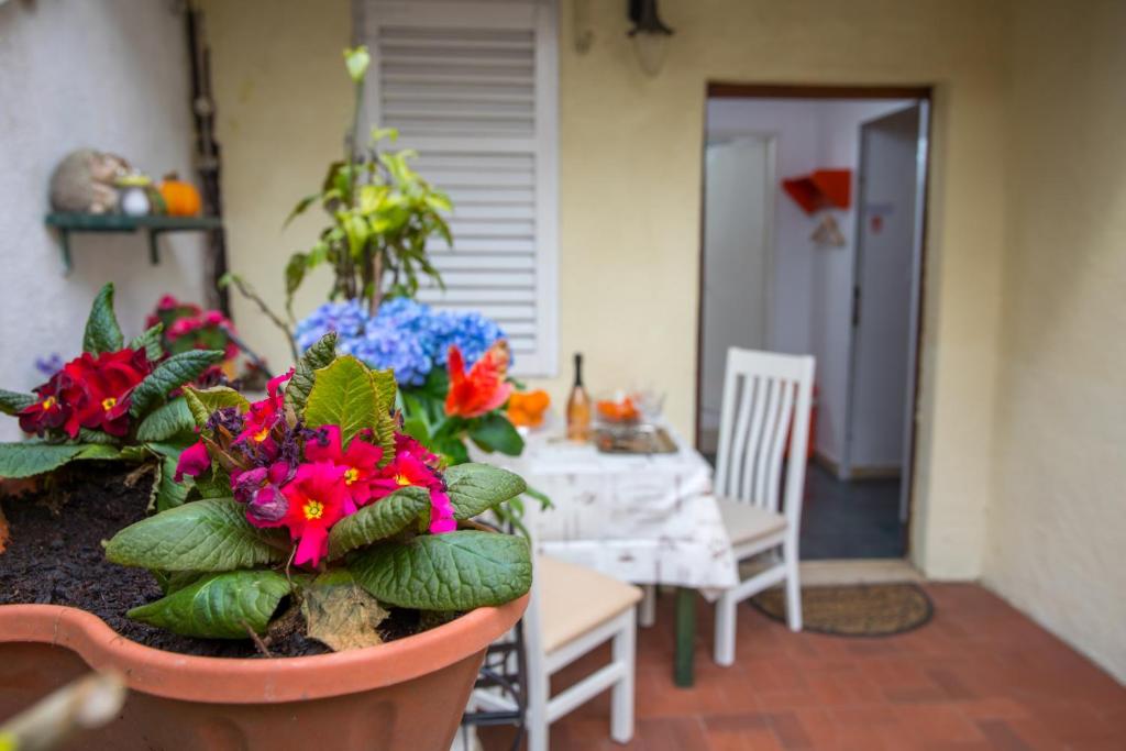 Studio apartment San Giorgio photo 4