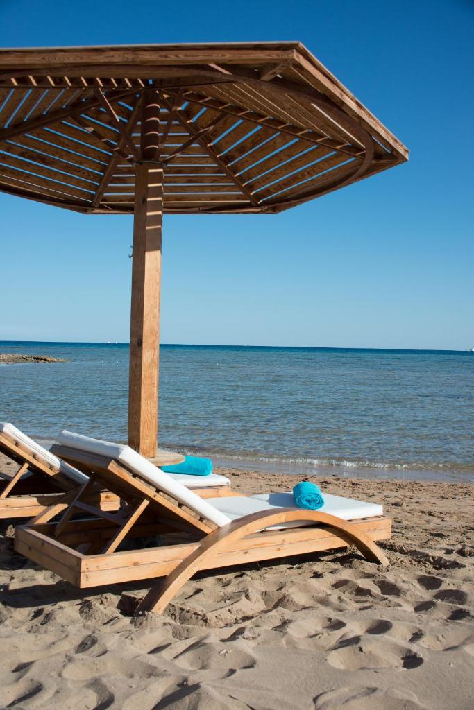 Shams Prestige Abu Soma (Adults Only) photo 3