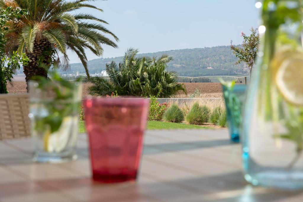 Holiday Village Kibbutz Mizra photo 4