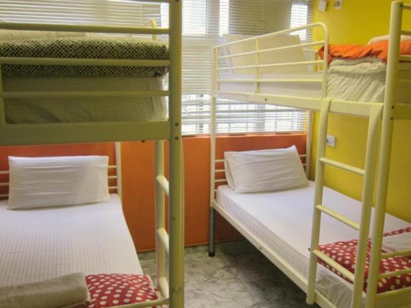 Номер (Односпальная кровать в общем номере с 4 кроватями), Delta Deluxe Hostel