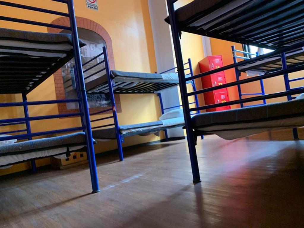 Номер (Кровать в общем 6-местном номере для мужчин и женщин), Hostel Amigo