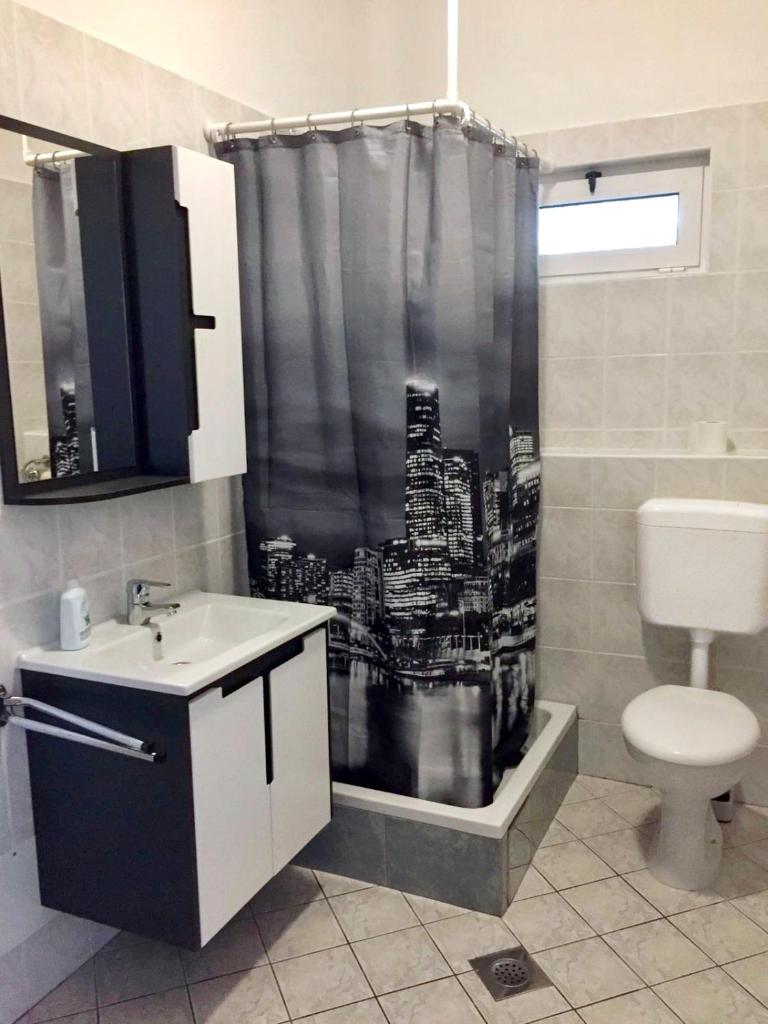 Apartment Anic photo 4