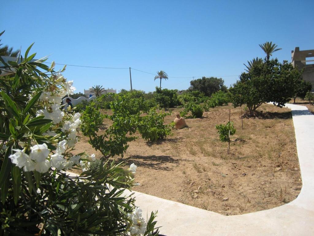 Ranch Tanit Djerba photo 3