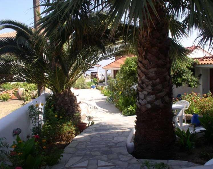 Hotel Agnanti photo 4