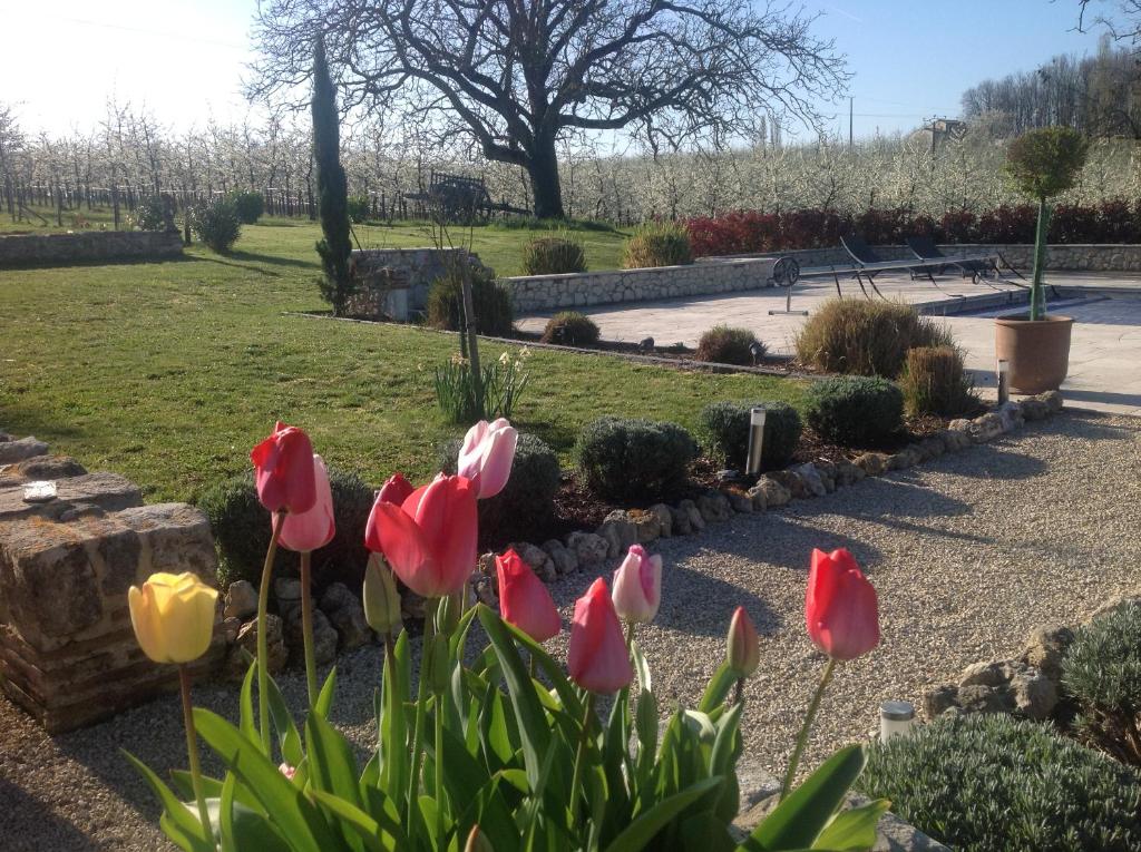 Lamamotte Gite Holiday Home photo 4