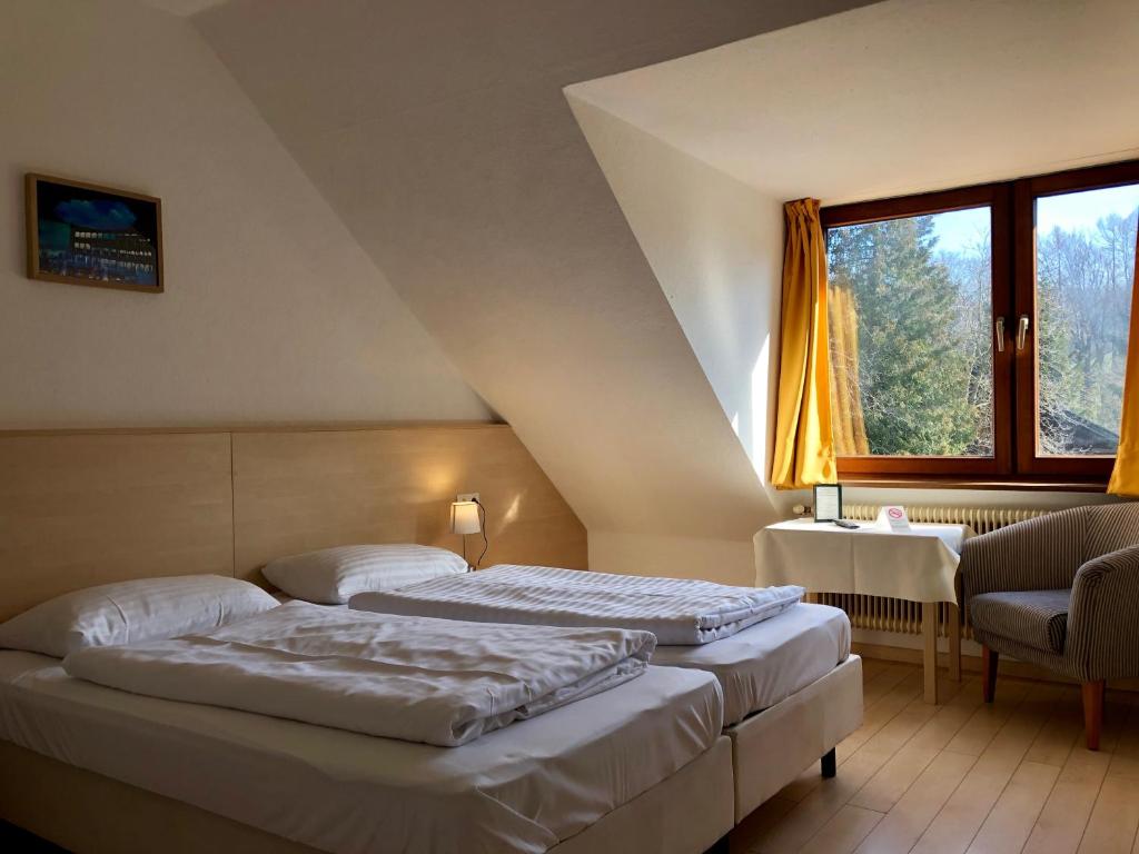 Двухместный (Двухместный номер с 1 кроватью), Hotel Schöne Aussicht