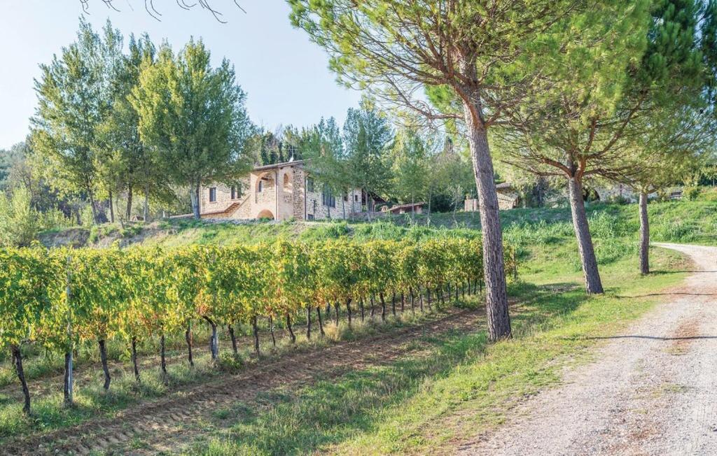 Agriturismo Wine Casale Villa Chiara photo 2