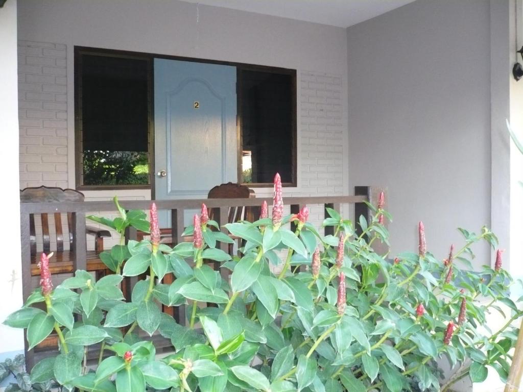 Pai Klang Vieng