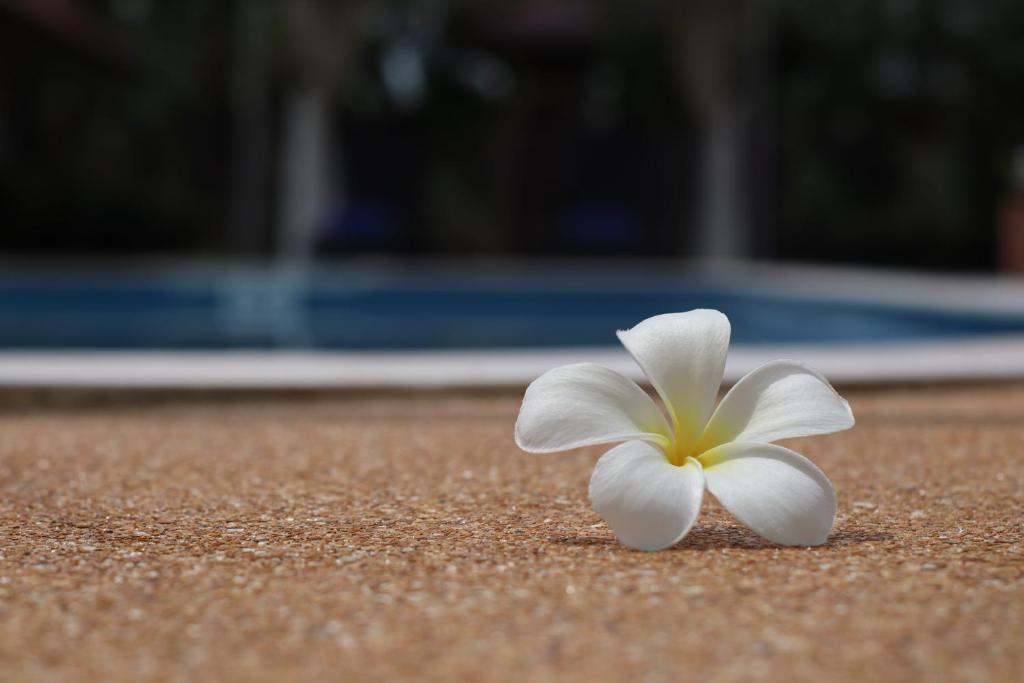 The Hillside Pranburi Resort photo 2
