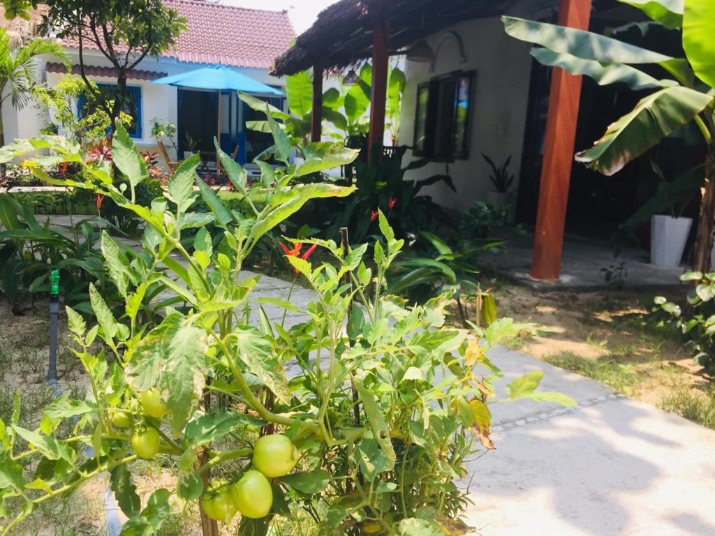 Hoi An Blue Seaside Homestay