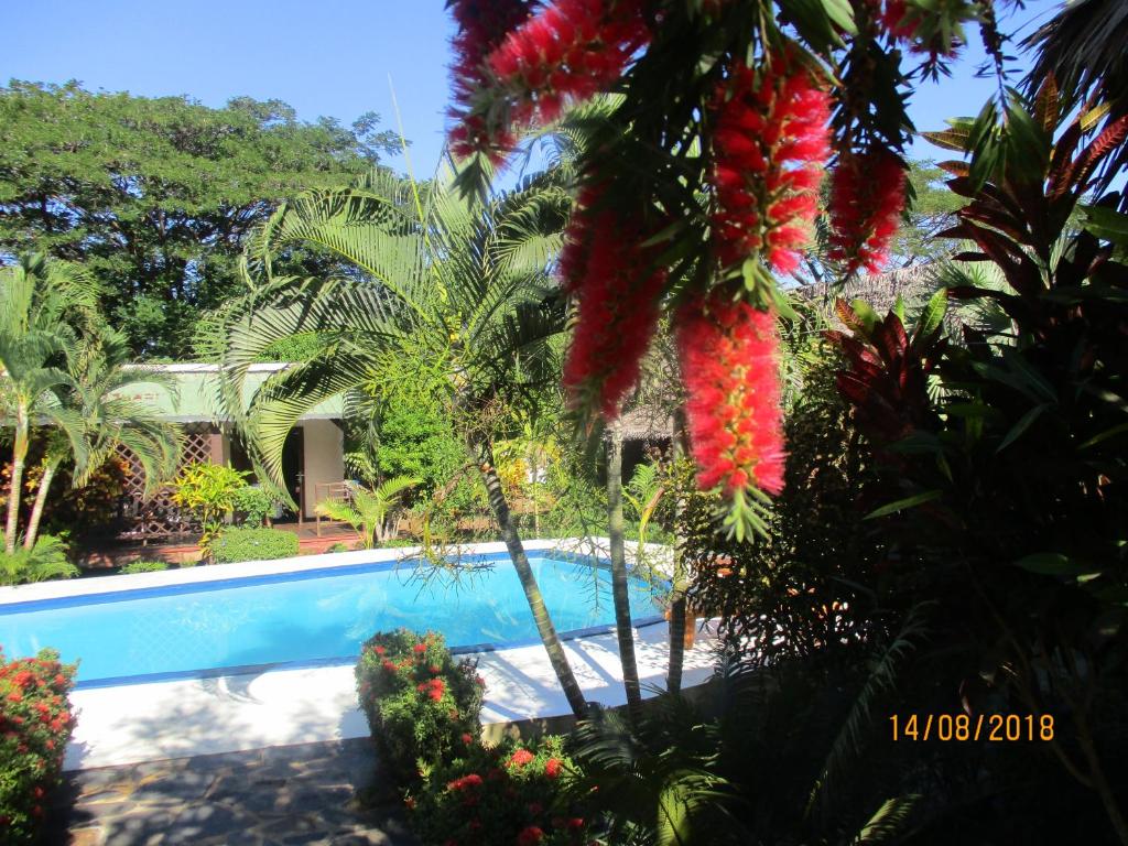 Tropic Hôtel photo 2