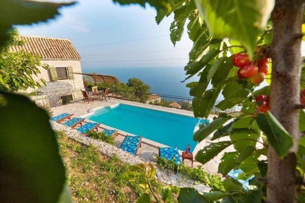Holiday House Brela photo 2