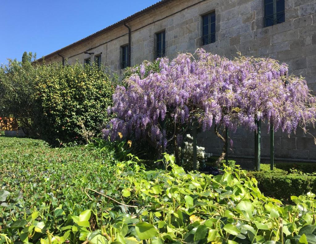 Albergue Convento Del Camino photo 4
