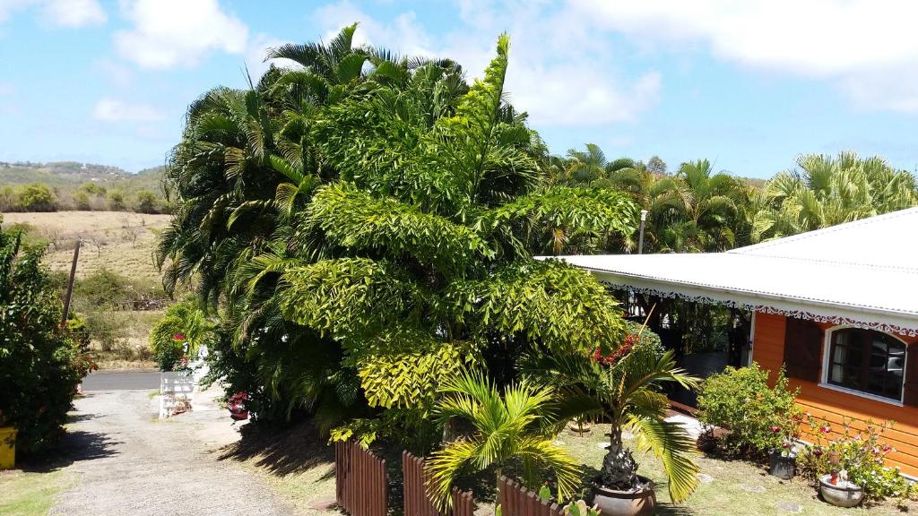 Cap Martinique photo 2