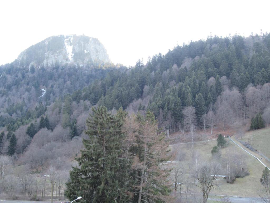 LA MONTILLE photo 4