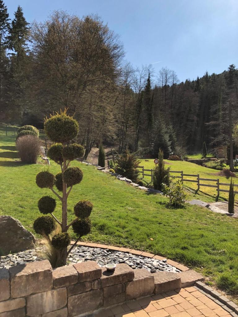 Buhl de Bonheur photo 1