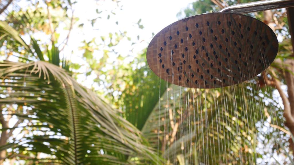 Двухместный (Улучшенный номер с кроватью размера «king-size»), Palolem Palm Forest