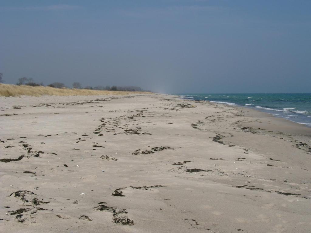 Urhanen photo 1