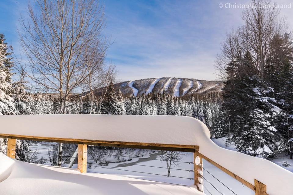 Le Vanilee - Les Chalets Spa Canada photo 1