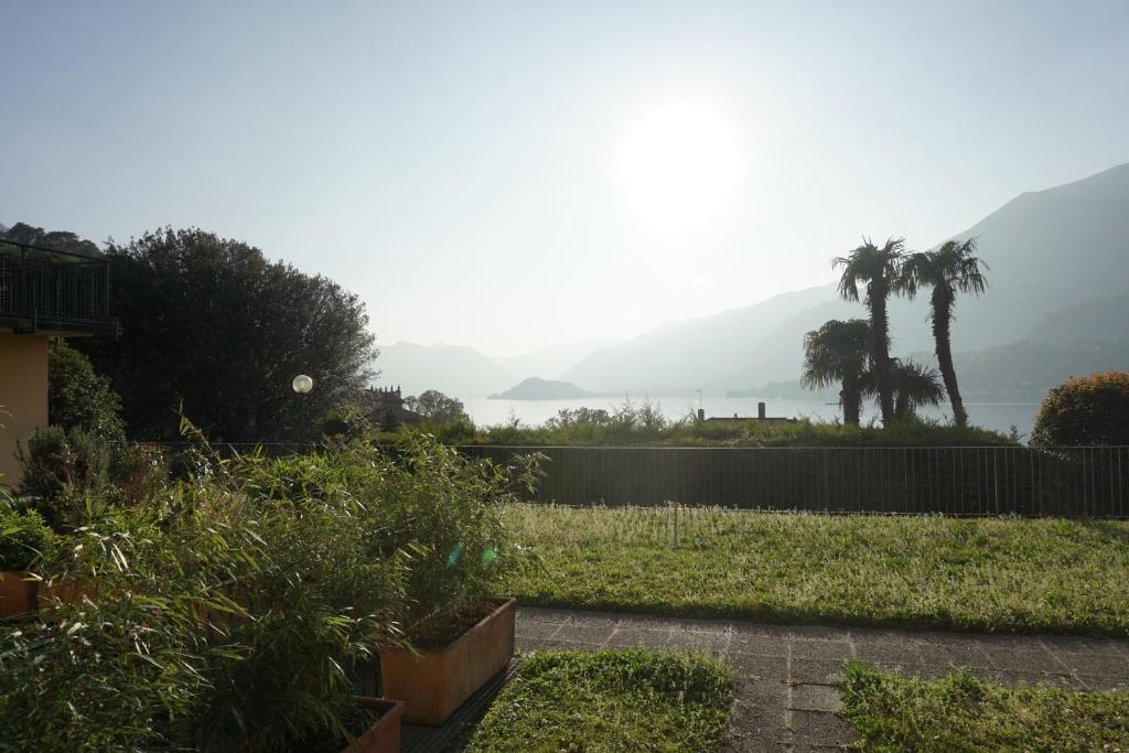 Casina photo 4