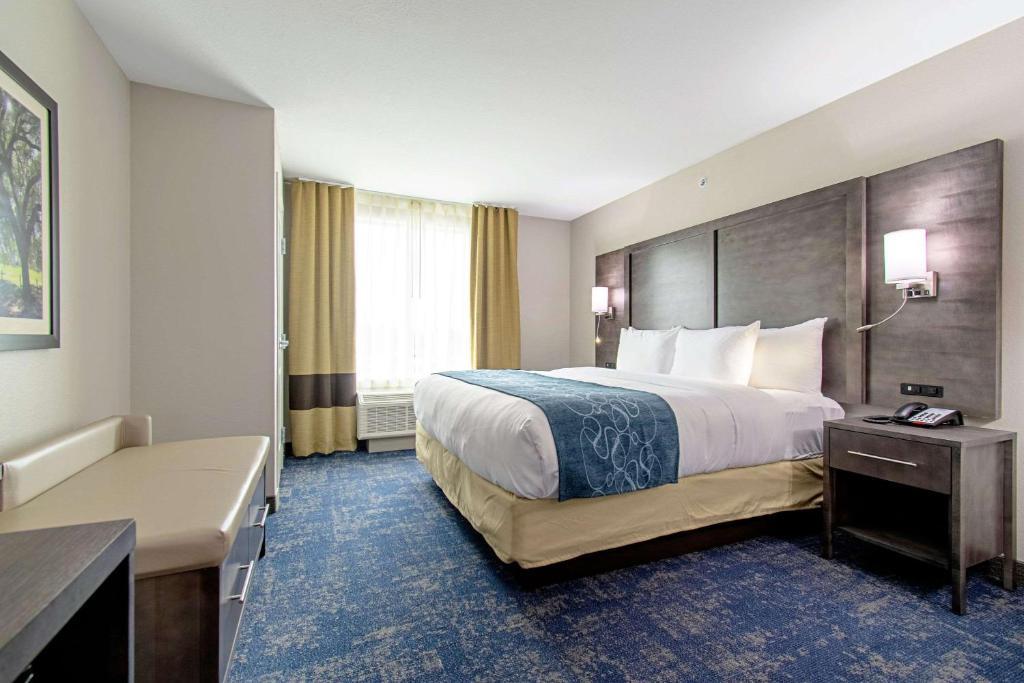 Comfort Suites Humble Houston IAH photo 4